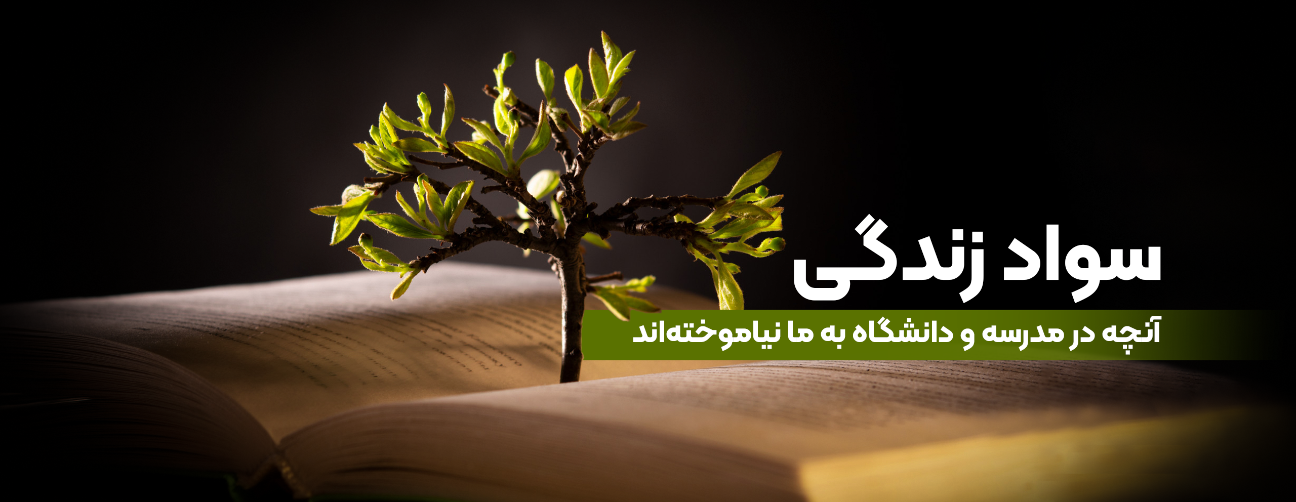 سواد زندگی